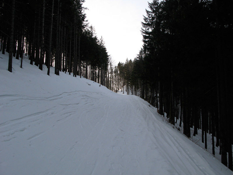 2009/0118_bodenwies/img1917rs5.jpg